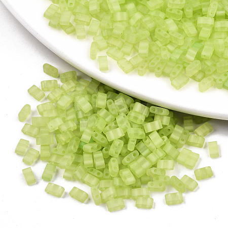 FGB 2-Hole Baking Paint Glass Seed Beads X-SEED-S031-M-SH1204FR-1