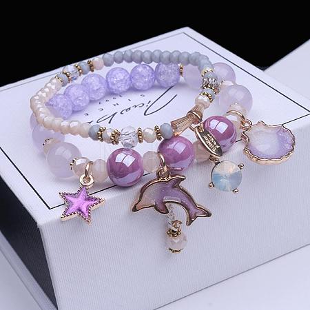 2Pcs 2 Styles Plastic & Glass Beaded Stretch Bracelets FS-WGE3E77-02-1