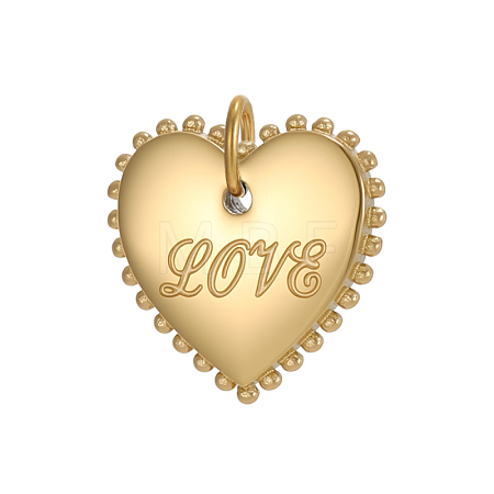 304 Stainless Steel Charms SA-OY002-87G-1