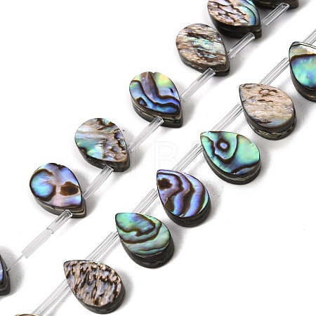Natural Abalone Shell Paua Shell Beads Strands SH-CBA69D1-02-1