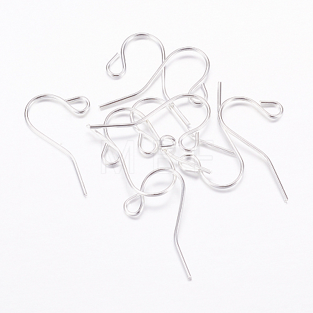 Iron Earring Hooks X-J079F-S-1