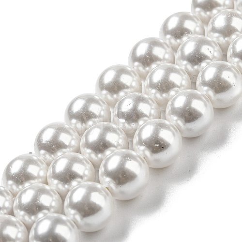 Electroplated Natural Shell Beads Strands SHEL-F008-03B-01-1