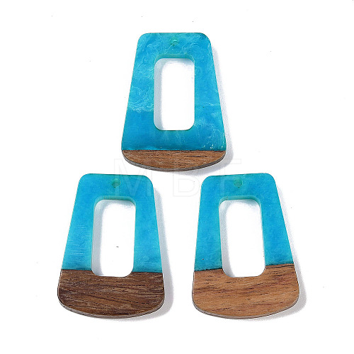 Resin & Wood Pendants WOOD-F015-11E-1