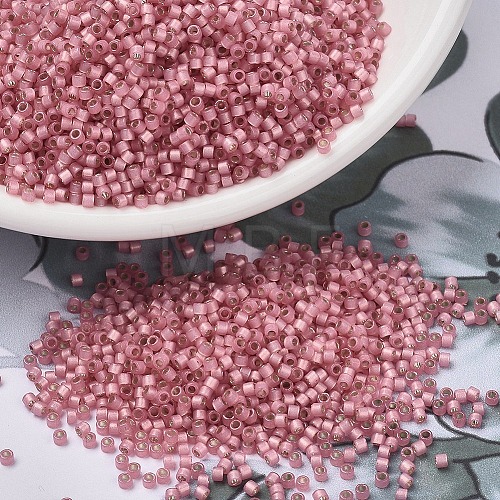 MIYUKI Delica Beads X-SEED-J020-DB2189-1