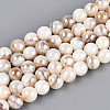 AB Color Natural Freshwater Shell Beads Strands BSHE-T014-40B-1