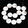 Natural Freshwater Shell Beads Strands X-SHEL-Q024-006-2