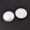 Half Round/Dome Half Drilled Shell Pearl Beads BSHE-N003-10mm-HC380-1