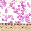 6/0 Glass Seed Beads SEED-L011-08A-04-4