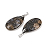 Natural Labradorite Pendants G-D084-01P-B07-5
