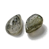 Natural Labradorite Cabochons G-Q173-02A-07-2