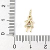 Brass Micro Pave Cubic Zirconia Pendants ZIRC-I356-17G-B04-3