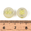 Luminous Frosted Acrylic Beads FACR-T008-02K-4