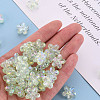 Transparent Acrylic Beads TACR-S154-45C-327-5