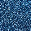 MIYUKI Round Rocailles Beads SEED-JP0008-RR0025-3