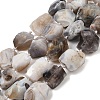 Raw Rough Natural Botswana Agate Beads Strands G-S396-04A-3