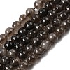 Natural Smoky Quartz Beads Strands X-G-B167-A09-4mm-3