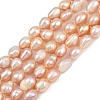 Natural Cultured Freshwater Pearl Beads Strands PEAR-P064-20J-03F-2