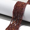 Natural Garnet Beads Strands G-H079-A01-01A-2