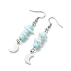 Natural Freshwater Shell and Howlite Dangle Earrings EJEW-JE07169-4