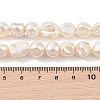 Electroplated Shell Pearl Beads Strands BSHE-C006-01C-4