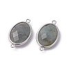 Platinum Tone Brass Natural Labradorite Links connectors G-F339-B12-2