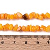 Natural Freshwater Shell Beads Strands SHEL-N037-04G-4