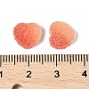 Imitation Candy Food Style Resin Cabochons RESI-R461-01F-3