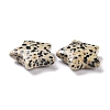 Natural Dalmatian Jasper Beads G-P469-12B-04-3