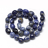 Natural Sodalite Beads Strands G-R445-8x10-04-2