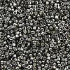 MIYUKI Delica Beads LS-X-SEED-J020-DB2512-2