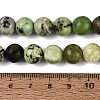 Natural Serpentine Beads Strands G-Q616-07D-5