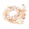 Natural Sea Shell Beads Strands SSHEL-N041-02A-2