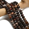 Natural Petrified Wood Beads Strands G-Z111-A50-1