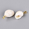 Brass & Natural Spiral Shell Pendants SHEL-Q029-13KCG-2