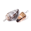 Brass & Natural Cone Shell Pendants SHEL-Q029-20-02P-2