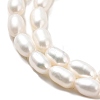 Natural Cultured Freshwater Pearl Beads Strands PEAR-I007-01P-05-4