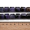 Natural Agate Beads Strands G-F820-P01-01B-5