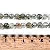 Natural Gemstone Beads Strands G-D359-B02-6mm-5