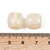 Opaque Resin European Beads RESI-C070-03-3