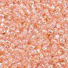 TOHO 11/0 Round Beads SEED-TR11-0169-2