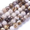 Natural America Petrified Wood Beads Strands G-P430-08-C-2