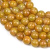 Handmade Lampwork Beads Strand LAMP-B056-10mm-04-4