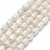 Natural Cultured Freshwater Pearl Beads Strands PEAR-J006-13A-1
