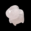 Natural Rose Quartz Carved Beads G-L656-A03-01-1