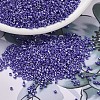 MIYUKI Delica Beads SEED-X0054-DB1569-1