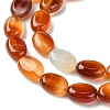 Natural Red Agate(Dyed & Heated) Beads Strands G-K365-B02-01-4