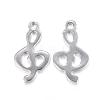 304 Stainless Steel Charms STAS-G122-20P-3