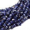 Natural Sodalite Chip Beads Strands G-E271-125-1