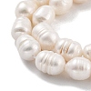 Natural Cultured Freshwater Pearl Beads Strands PEAR-P062-13A-4