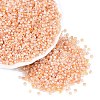 Picasso Glass Seed Beads SEED-Q041-02E-1